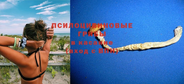стафф Алексин