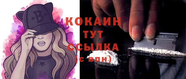 стафф Алексин
