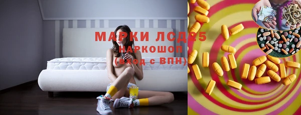 PSILOCYBIN Алзамай