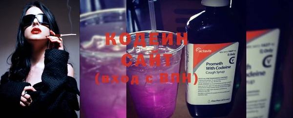 apvp Осинники