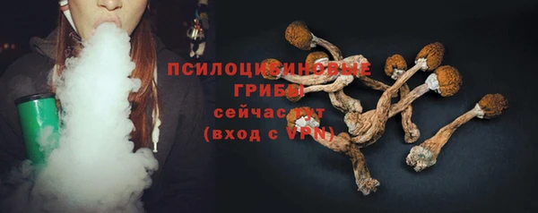 стафф Алексин