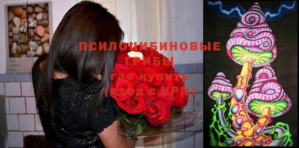 хмурый Алексеевка