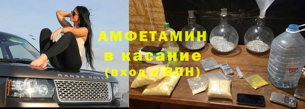 PSILOCYBIN Алзамай