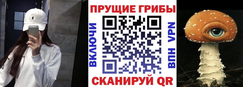 Псилоцибиновые грибы MAGIC MUSHROOMS блэк спрут как зайти Балашиха