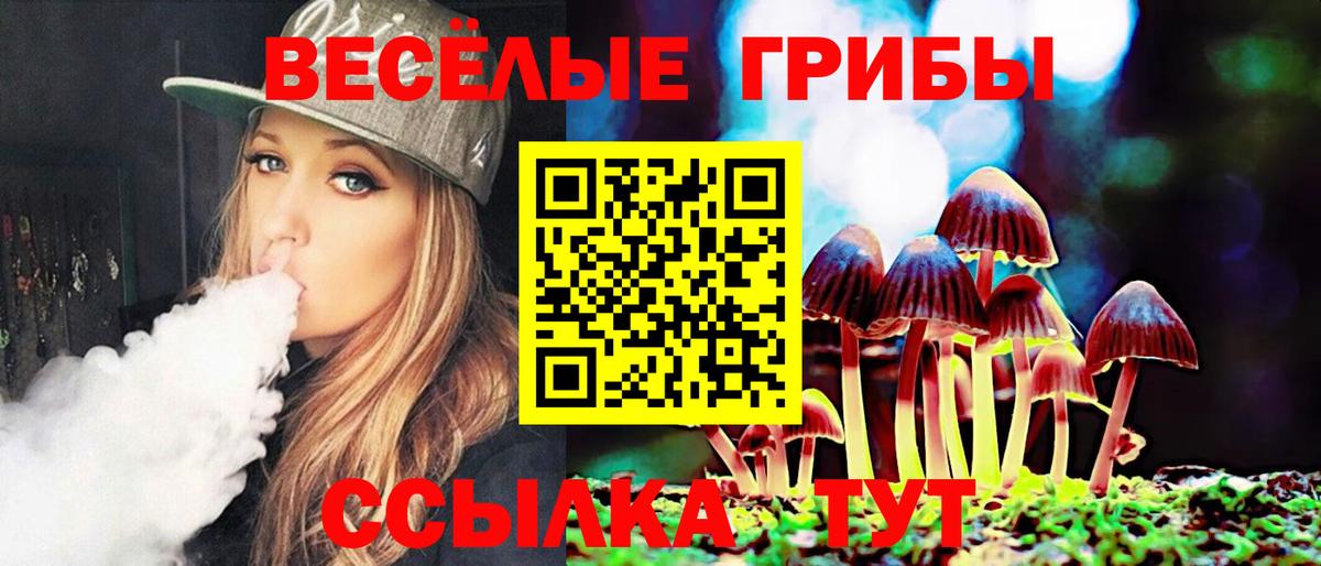 Псилоцибиновые грибы Psilocybine cubensis Балашиха