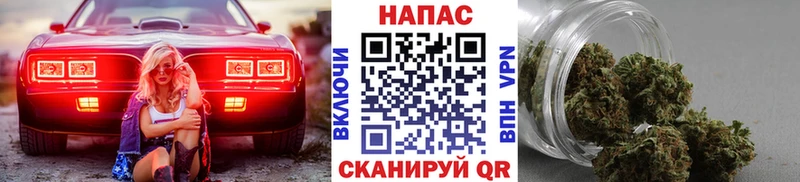 MEGA онион Балашиха Шишки марихуана OG Kush